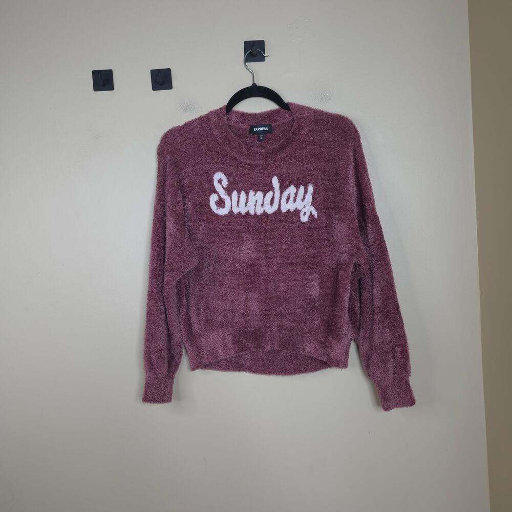 Express Mauve Plush Fuzzy Sunday Pullover Sweater Size XS
